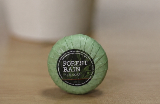 ΣΑΠΟΥΝΑΚΙ FOREST RAIN JOIE DE VIVRE 25GR (ΕΚΠΤ.-20% 500ΚΙΒ.)