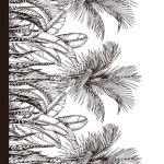 ΚΟΥΡΤΙΝΑ ΜΠΑΝΙΟΥ VITA 180X200CM