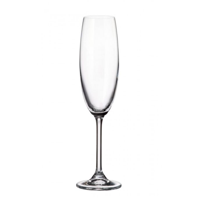 ΠΟΤΗΡΙ ΣΑΜΠΑΝΙΑΣ GASTRO COLIBRI 220ML ΣΕΤ 6ΤΕΜ.