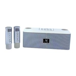 ΑΣΥΡΜΑΤΟ ΗΧΕΙΟ BLUETOOTH ΜΕ 2 ΜΙΚΡΟΦΩΝΑ KARAOKE – YS-204 – 887202