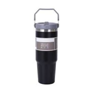 ΠΑΓΟΥΡΙ-ΘΕΡΜΟΣ ΦΟΡΗΤΟ - 900ML - 640024