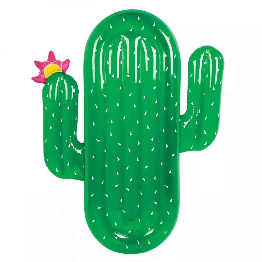 ΦΟΥΣΚΩΤΟ ΚΑΚΤΟΣ